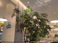 -Aqua Oasis 水天堂(太湖中心mall店)