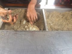 -叶氏麻糍(鼓浪屿店)
