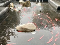 -北京希尔顿逸林酒店