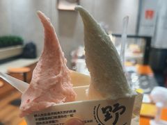 -野人先生现做冰淇淋(北京环宇荟店)