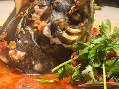 -坛宗剁椒鱼头(河西王府井店)