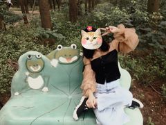 -同里国家湿地公园