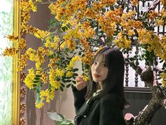 -金链花·泰国餐厅(国贸店)
