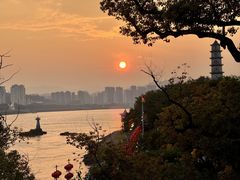-江心屿景区