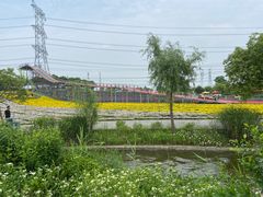 -上海杨姆庄园