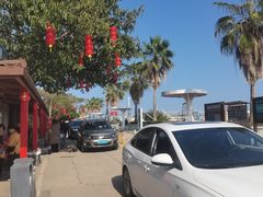 -大湾区中央湿地公园-十九涌