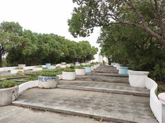 -上海都市菜园