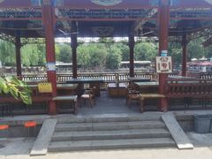 -亲兄弟真人CS团建拓展基地