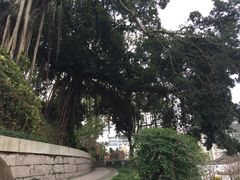 -乌山风景区