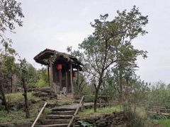 -驿舍·民國老营房院子私房菜(科学会堂店)