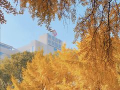 -四川大学(华西校区)