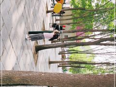 -府君山公园