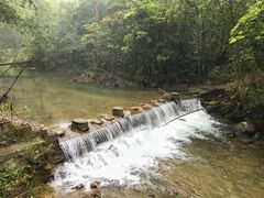 -九龙江国家森林公园