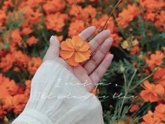 -映月湖中央公园