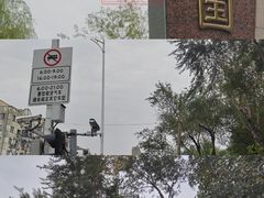 -建国公园