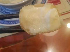 炸牛奶-捷信牛奶甜品世家(五道口店)