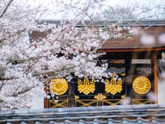 -醍醐寺