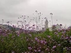 -东海半边山旅游度假区