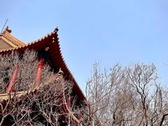 -哈尔滨极乐寺
