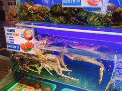 -船梆煮•蒸汽海鲜·炉火烤肉(五四广场店)