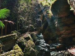 -梭布垭石林景区