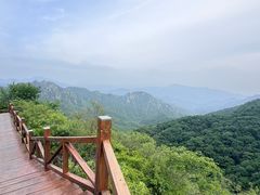 -大岭沟猕猴桃谷风景区