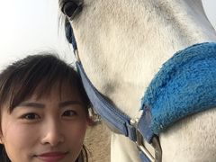 -月河湾马术俱乐部(朝阳店)