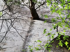 -黑龙潭风景区