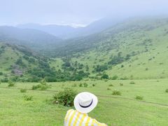 -大姆山草场