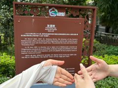 -广州市流溪河国家森林公园