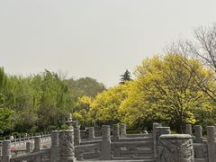 -洛阳白马寺