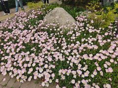 -庐州太太(双岗店)