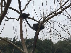 -八卦田遗址公园