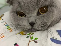 -达爱动物医院·犬猫分区·CT·复杂眼科(远洋山水分院)