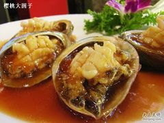 小鲍鱼-京港生鲜(四道口店)