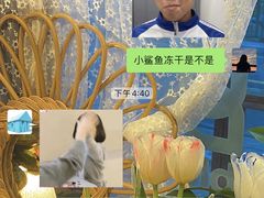 -宠物之家Pets Home 宠物寄养酒店