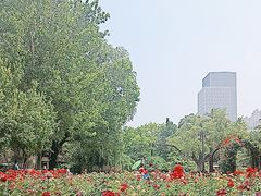 -睦南公园
