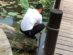 -茯茶镇