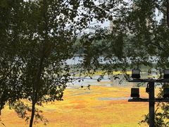 -长白岛森林公园