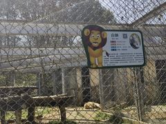 -合肥野生动物园