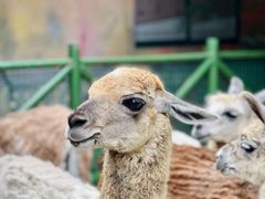 -杭州野生动物世界