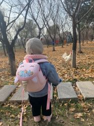-上美四季动物农场