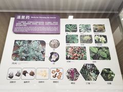 -北京中医药大学-中医药博物馆