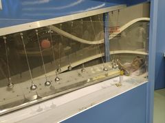 -佛山科学馆