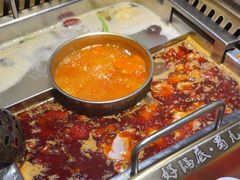 -蜀九鼎毛肚火锅(惠安店)