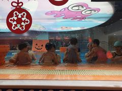 -蓝旗儿童游泳俱乐部(北国中心)