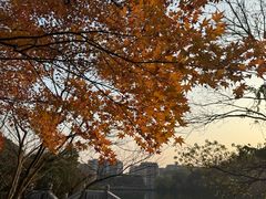 -杭州半山国家森林公园