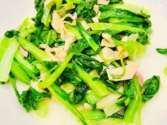 -新吉士·上海菜(浦东LCM置汇旭辉店)