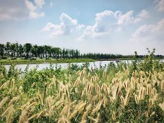 -春花秋色城市公园