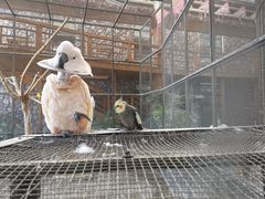 -南宫五洲植物乐园